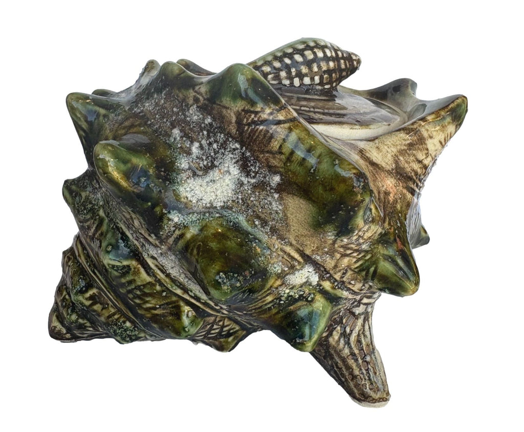 Ceramic Conch Shell Dish