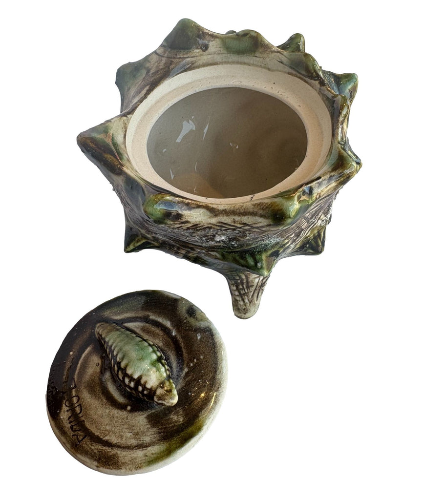 Ceramic Conch Shell Dish