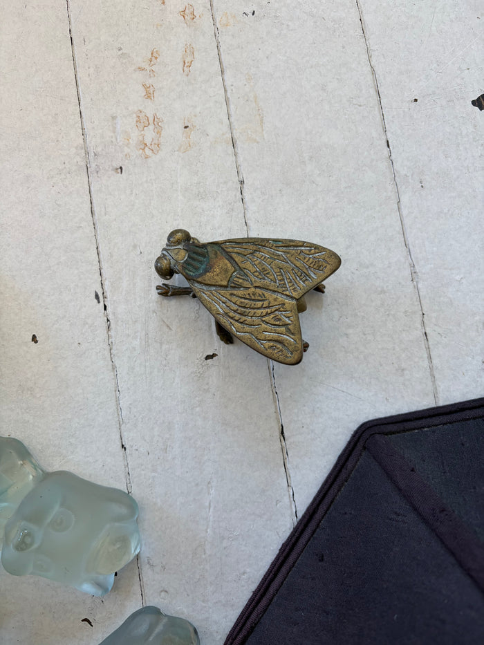 Brass Fly