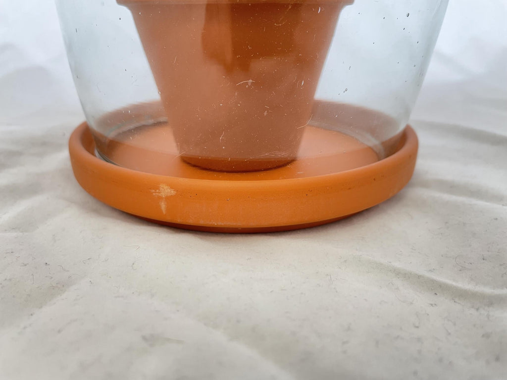 MiCa Glass Cover with Tray and Pot