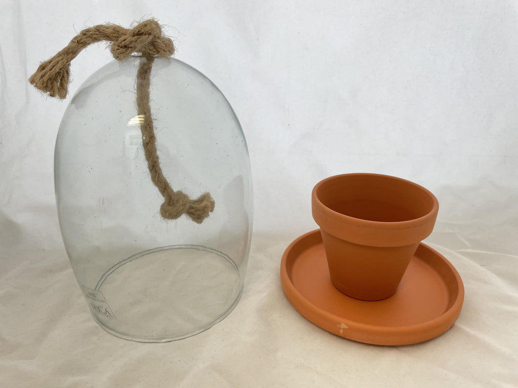 MiCa Glass Cover with Tray and Pot